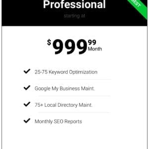 Pro Small Biz Local SEO Package