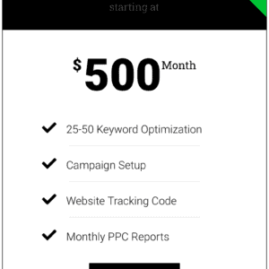Advanced Small Biz Local PPC Package $500/mo